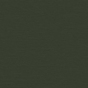 Monotone Olive D1 600x1200mm