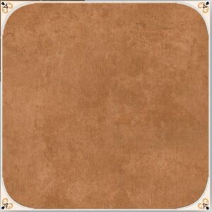Raavi Brown octagonal tile 300x300mm